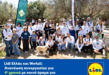 Lidl Ελλάς και We4all συνεχίζουν μαζί για έναν πιο πράσινο και συμπεριληπτικό κόσμο