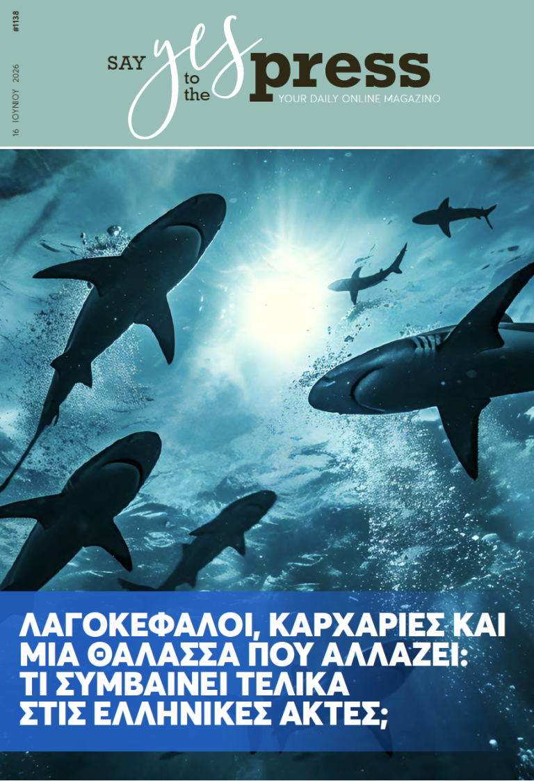 Λαγοκέφαλοι, καρχαρίες και μια θάλασσα που αλλάζει: Τι συμβαίνει τελικά στις ελληνικές ακτές;