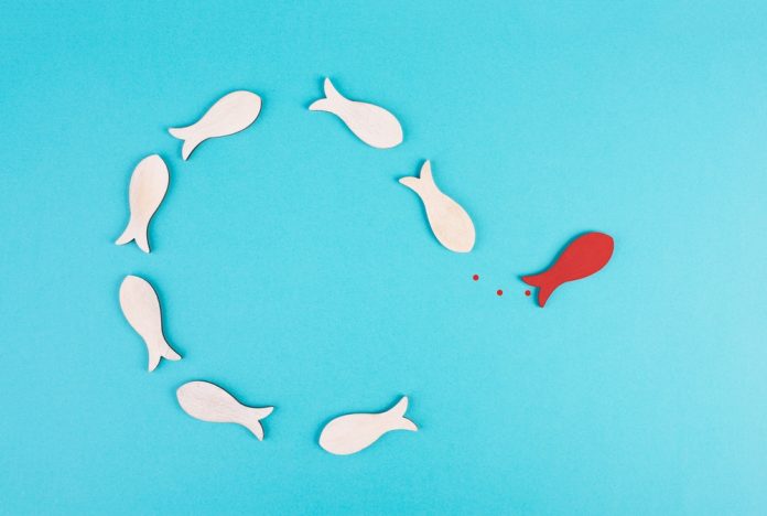 One,Red,Fish,Is,Swimming,Against,The,Stream,,Opposite,Direction