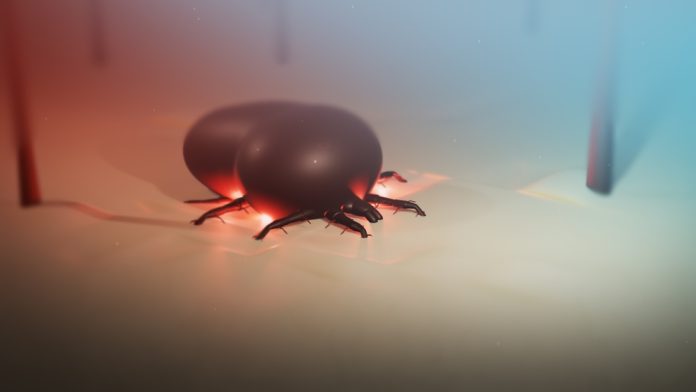 A,Cinematic,Animation,Of,Tick,Embedded,In,Human,Skin