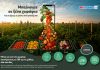 Ξέρεις τι βάζεις στο τραπέζι σου; Στα My market ξέρεις.