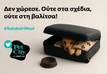 Τα Pet City επιστρέφουν με το #KalokairiMazi και μήνυμα «Η αγάπη δεν πάει διακοπές»
