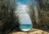 Singing Beaches: Οι παραλίες που… τραγουδούν και το μυστικό πίσω από το φαινόμενο