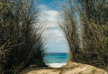 Singing Beaches: Οι παραλίες που… τραγουδούν και το μυστικό πίσω από το φαινόμενο