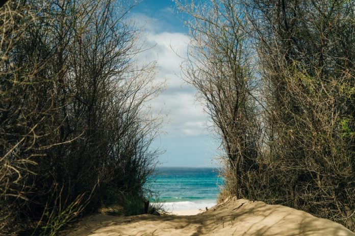 Barking,Sands,Beach,Kauai,Hawaii.,High,Quality,Photo