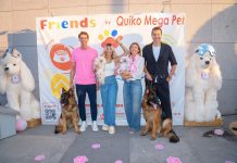 Μια dog-friendly γιορτή στη Θεσσαλονίκη για την Παγκόσμια Ημέρα Σκύλου