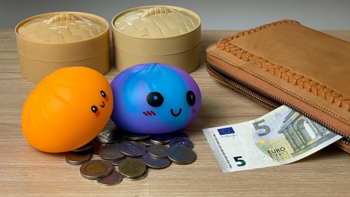 Two,Different,Dumpling-shaped,Squishies,Next,To,Coins,And,A,5-euro